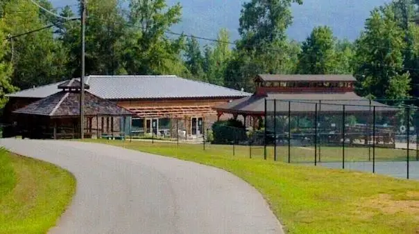 977 Raccoon Ridge Ne, Ranger, GA 30734 - Image #3