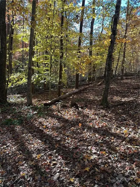 39 Planters Creek Drive, Banks, GA 30511 - Image #3