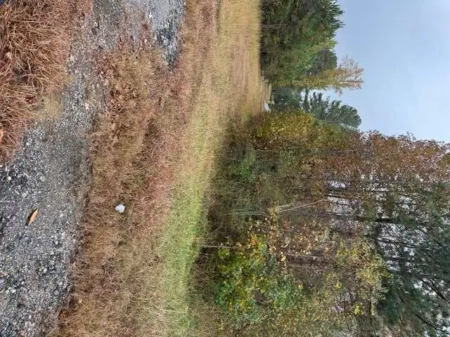 0 Moran Lake Road, Rome, GA 30165 - Image #2