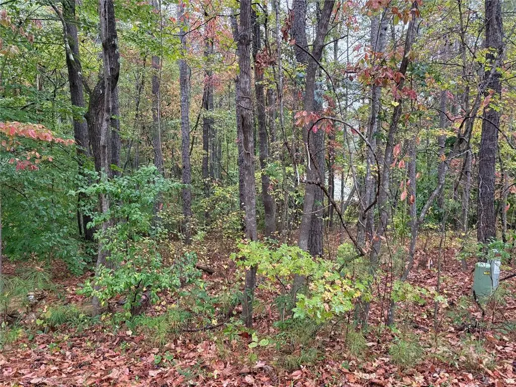 2313 Larchmont Court, Villa Rica, GA 30180 - Image #1