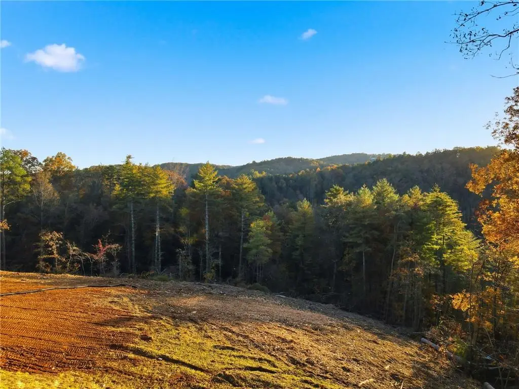 1783 Hunter Drive, Ranger, GA 30734 - Image #1