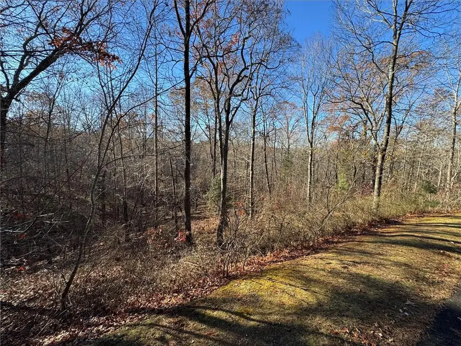 131 Harris Creek Drive, Ellijay, GA 30540 - Image #2