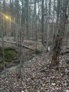 00 River Ridge Trail, Sparta, GA 31087 - Image #1