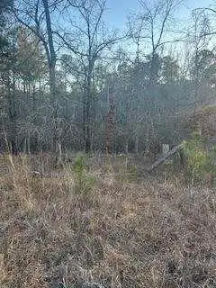 00 River Ridge Trail, Sparta, GA 31087 - Image #2