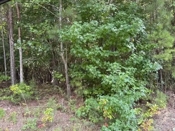 Tk 9 Old Ridgeway Road, Bremen, GA 30110