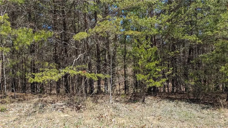 176 Windsor Way, Jasper, GA 30143 - Image #2