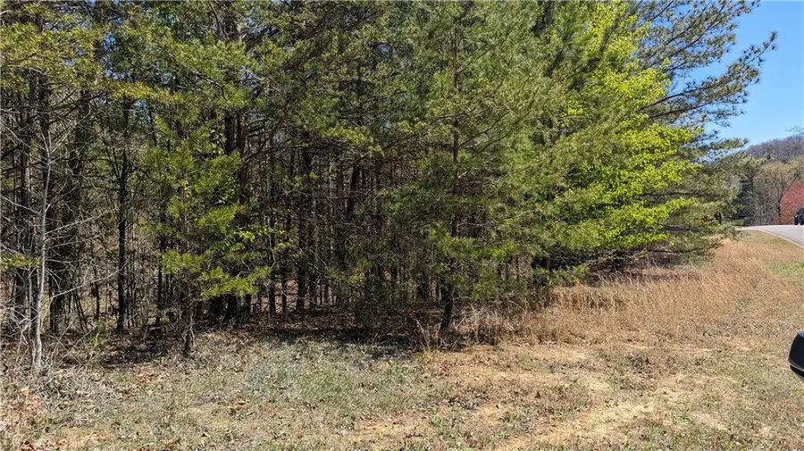 176 Windsor Way, Jasper, GA 30143 - Image #3