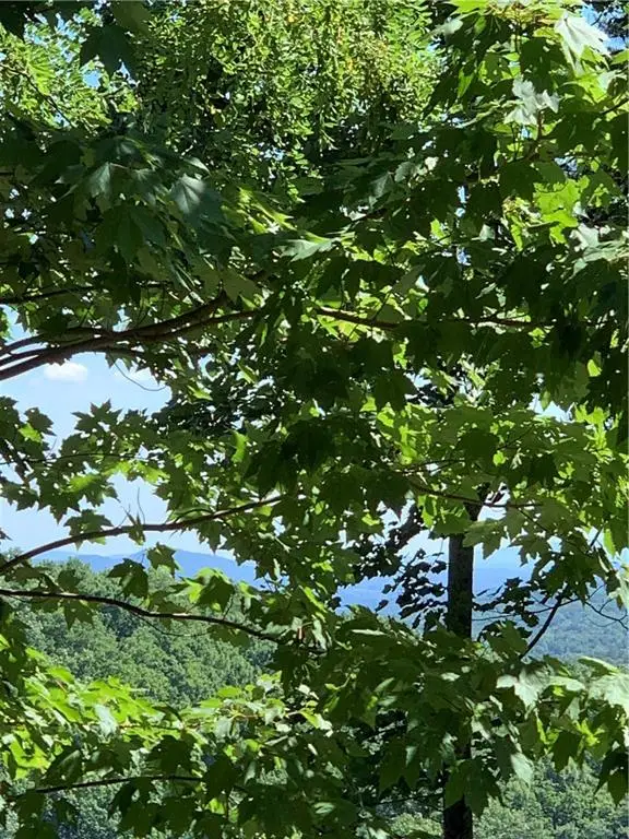 2046 Amy Creek Circle, Ellijay, GA 30540 - Image #2