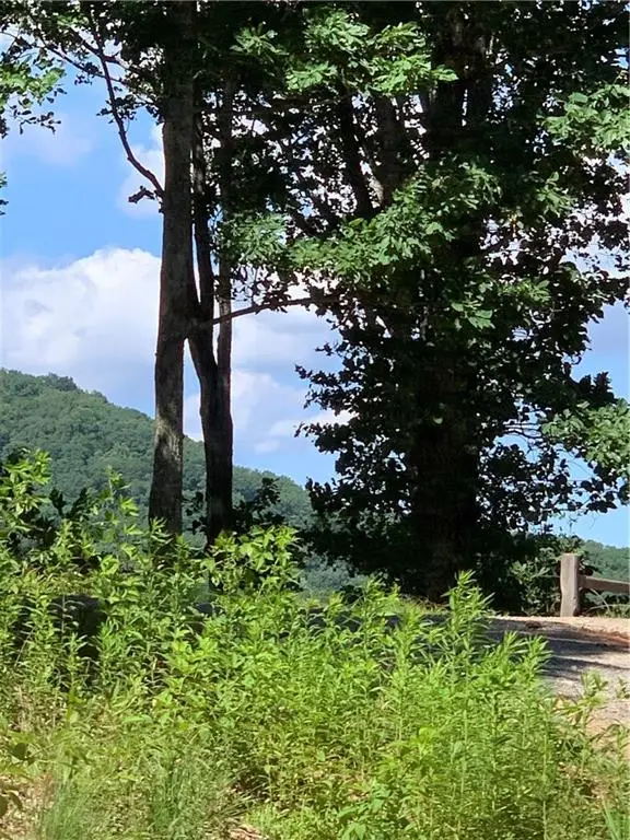 2046 Amy Creek Circle, Ellijay, GA 30540 - Image #3