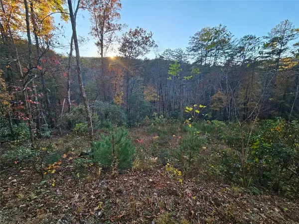 84 Spiva Cove Mtn. Trail, Blairsville, GA 30512