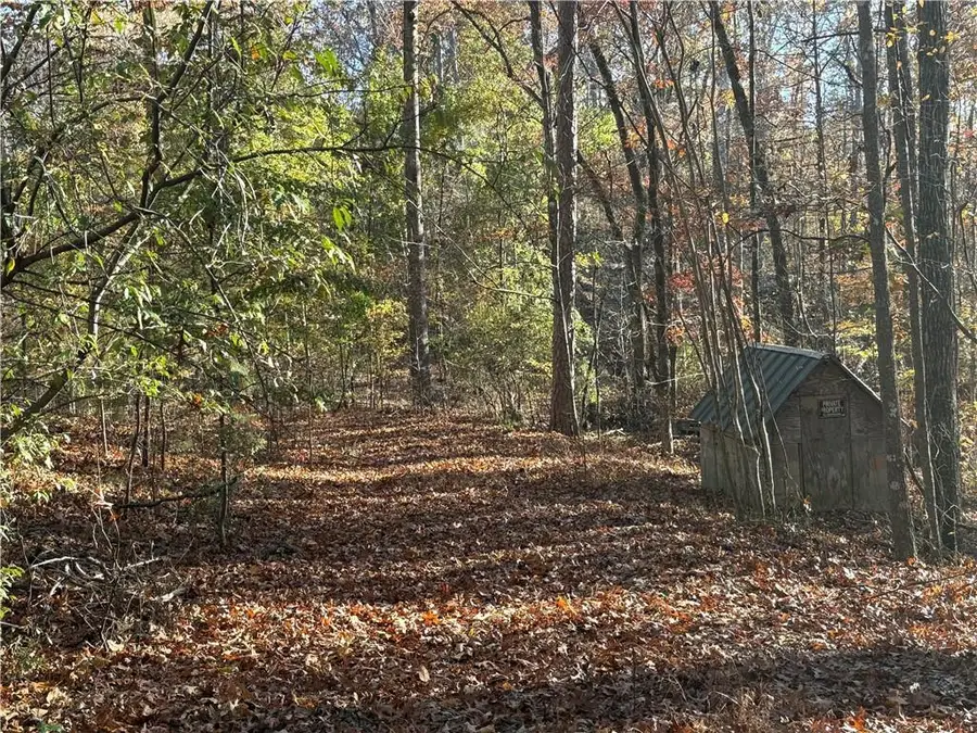 33 Eagle Ridge, Ball Ground, GA 30107 - Image #3