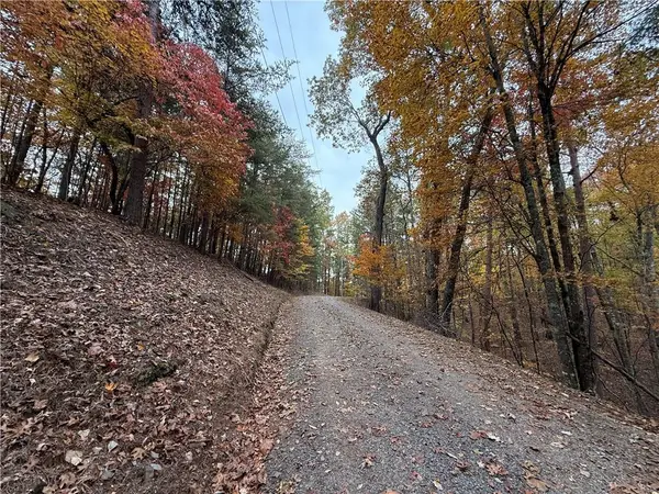 526 Fedorak Court, Ranger, GA 30734