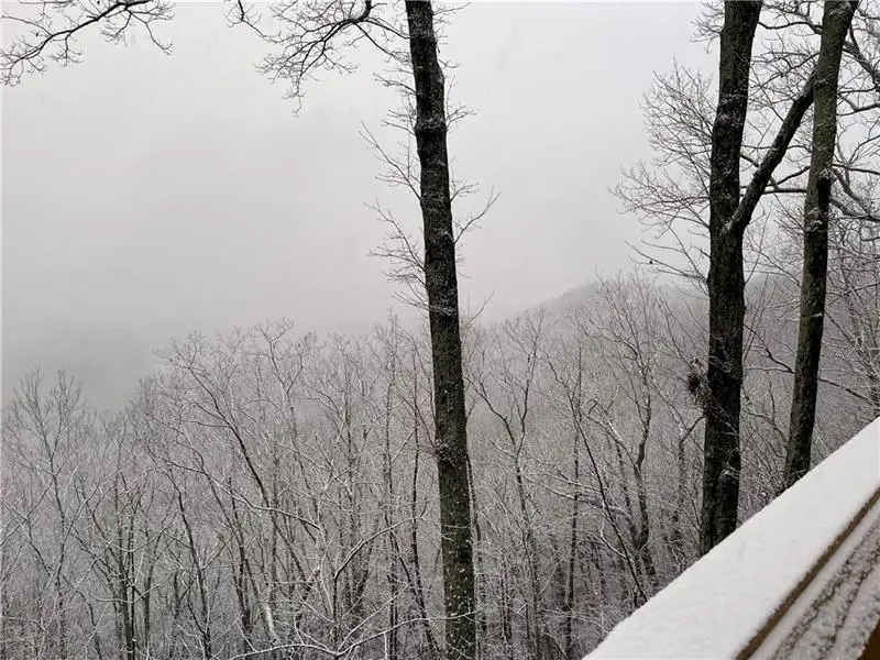 375 Adair Drive, Ranger, GA 30734 - Image #3