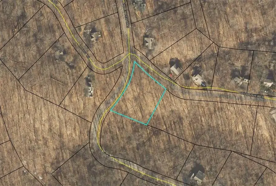 0 Valley View Drive, Jasper, GA 30143 - #2