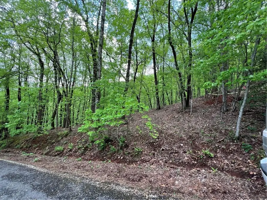 0 Valley View Drive, Jasper, GA 30143 - #3