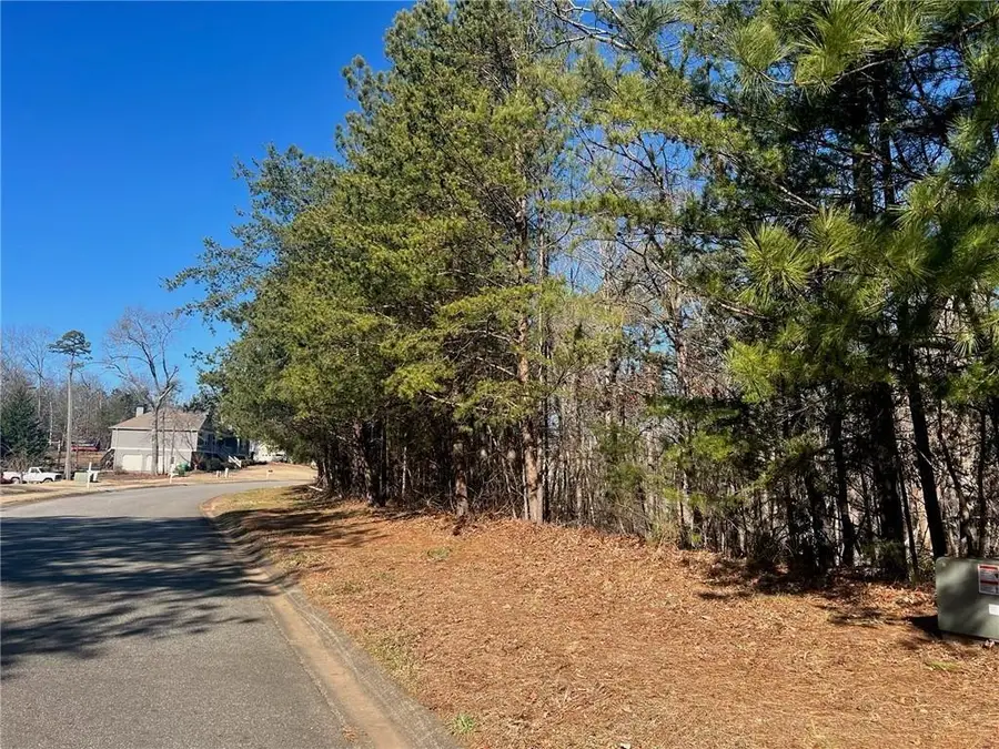 924 Whistler Lane, Canton, GA 30114 - Image #2