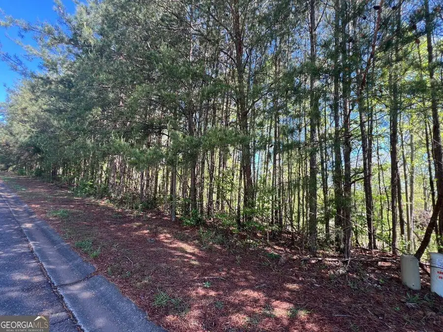 922 Whistler Lane, Canton, GA 30114 - Image #2