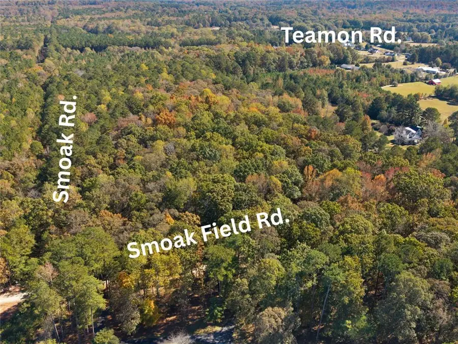 176 Smoak Field Road, Griffin, GA 30223 - Image #3