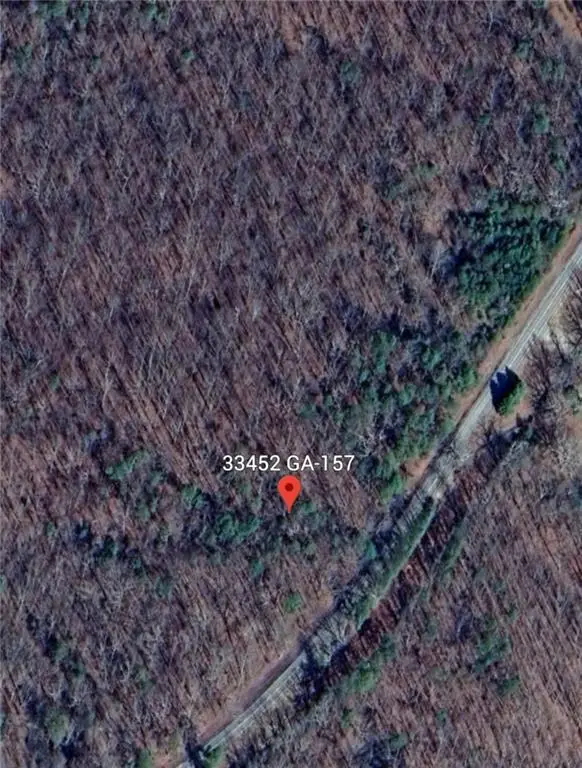 33452 Highway 157, Menlo, GA 30731 - Image #3