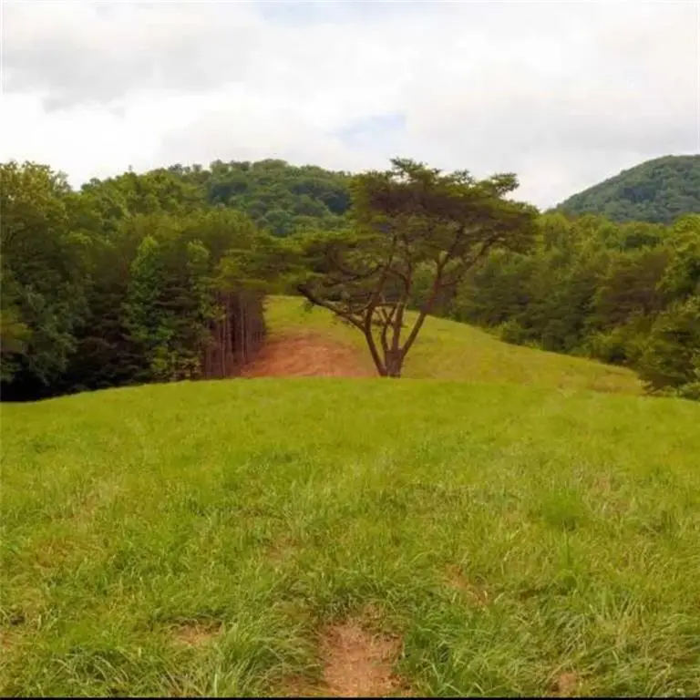 14694 Highway 515 N, Ellijay, GA 30536 - Image #1