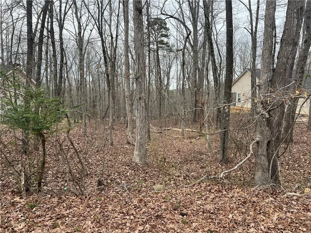 3254 Greenhill Court, Villa Rica, GA 30180 - Image #1