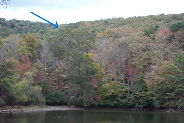 Lot 19 Owl Mountain Road, Ellijay, GA 30540