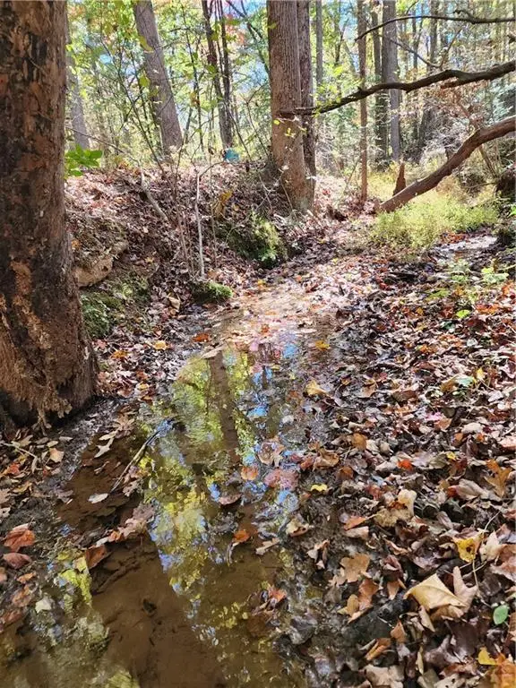 0 Grace Drive, Blue Ridge, GA 30513