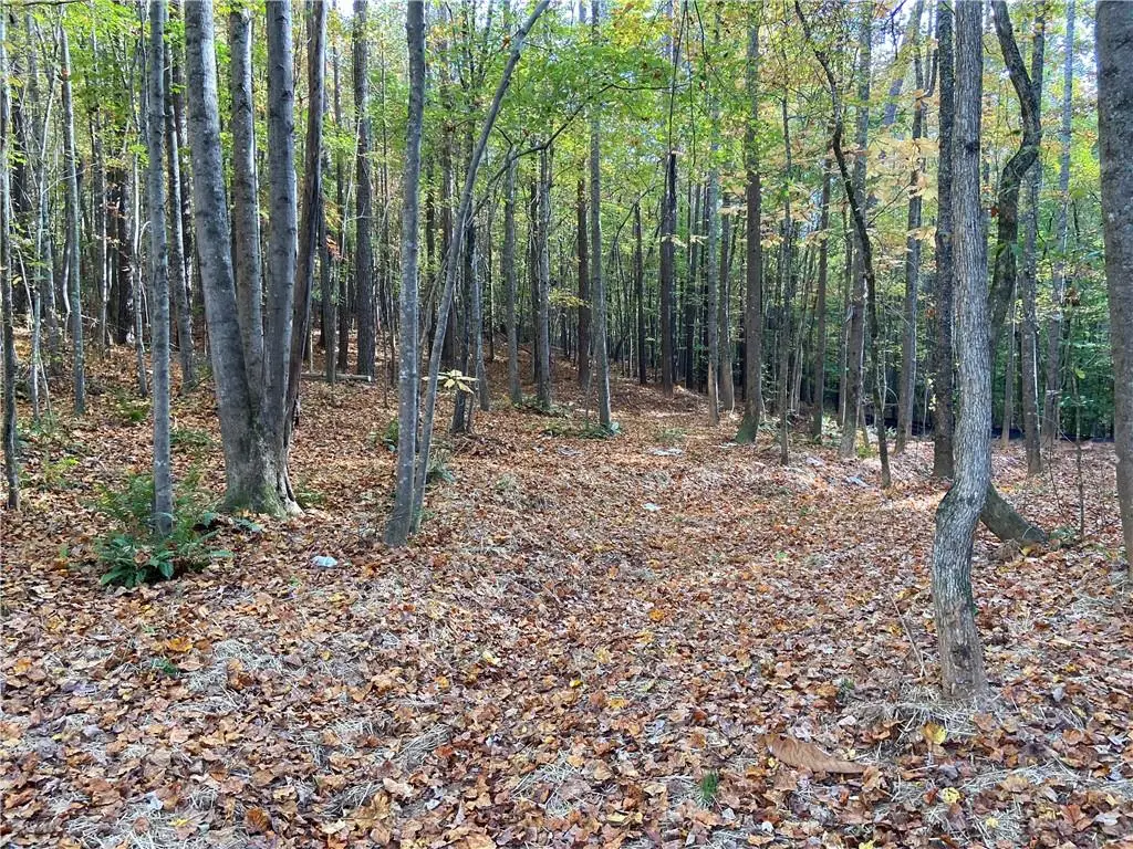0 Lone Bear Path, Dallas, GA 30132 - Image #1