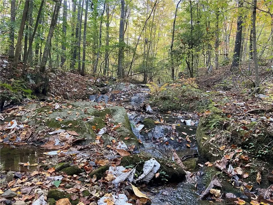 0 Lone Bear Path, Dallas, GA 30132 - Image #2