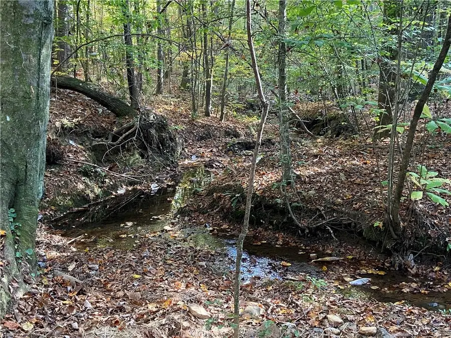 0 Lone Bear Path, Dallas, GA 30132 - Image #3