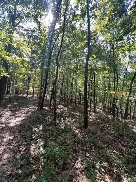 00 Vinson Mountain Road, Rockmart, GA 30153 - Image #3