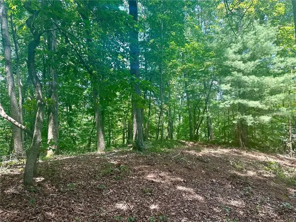 6.2 Mincey Acres Drive, Murrayville, GA 30564