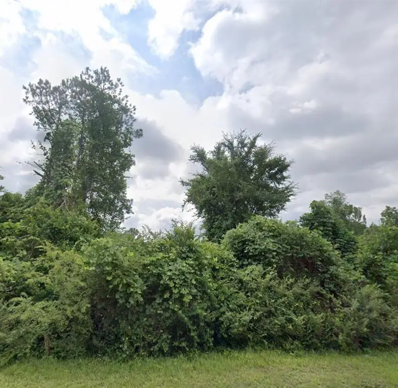 2533 NE Philadelphia Road, Conyers, GA 30012 - Image #2