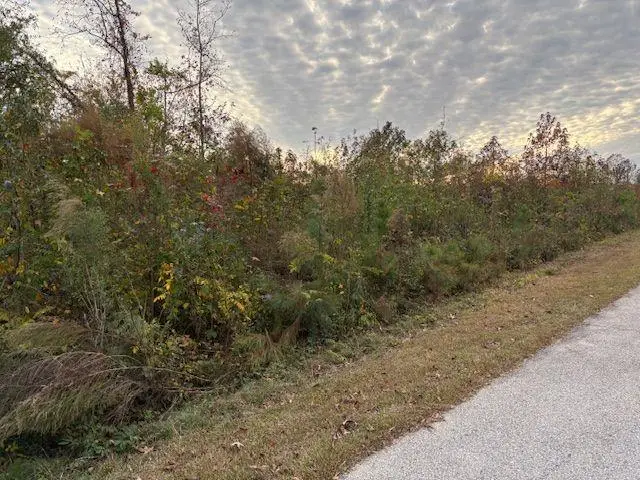 235 Kendall Drive, Griffin, GA 30224 - Image #1