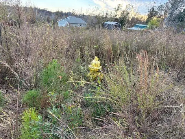 235 Kendall Drive, Griffin, GA 30224 - Image #2