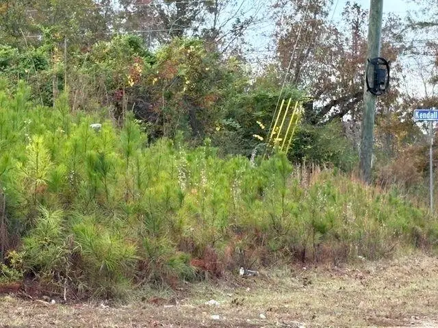 235 Kendall Drive, Griffin, GA 30224 - Image #3