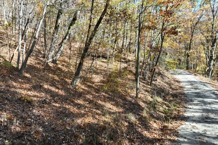 Lot 34 Wauka Ridge Road, Clermont, GA 30527 - #2