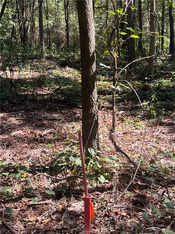 0 Fairview Farms Circle, Lavonia, GA 30553 - Image #2