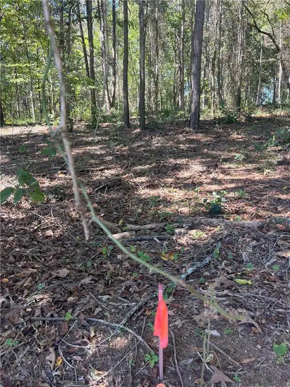 0 Fairview Farms Circle, Lavonia, GA 30553 - Image #3