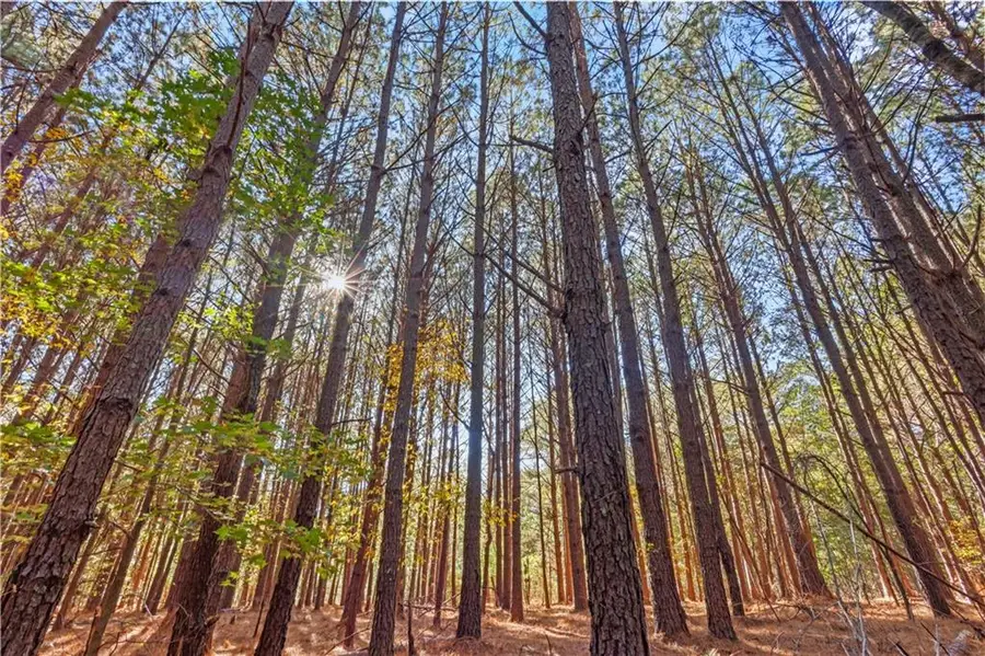 78 Paul Smith Road, Covington, GA 30014 - Image #2