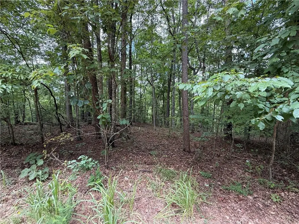 0 Winters Mountain Road, Dahlonega, GA 30533 - Image #1