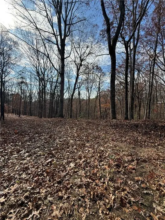 0 Orchard Road, Jasper, GA 30143 - #3