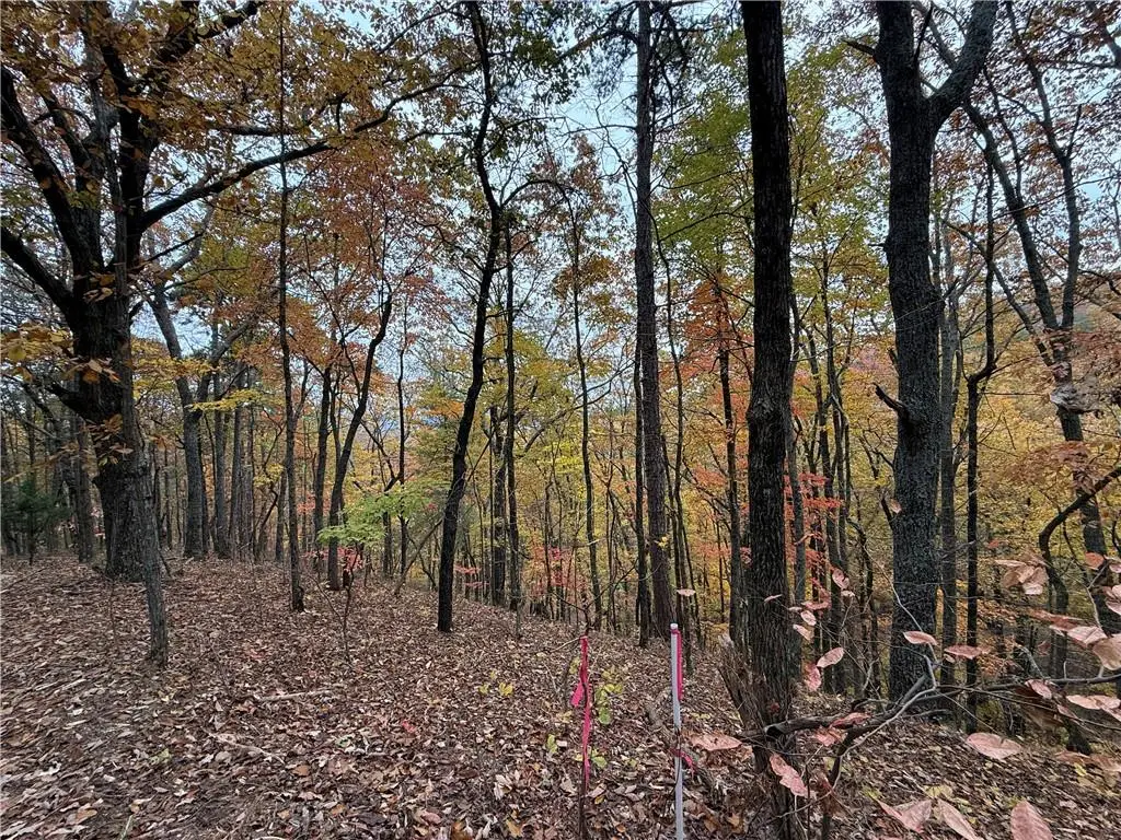 355 Orieole Court, Ranger, GA 30734 - Image #1