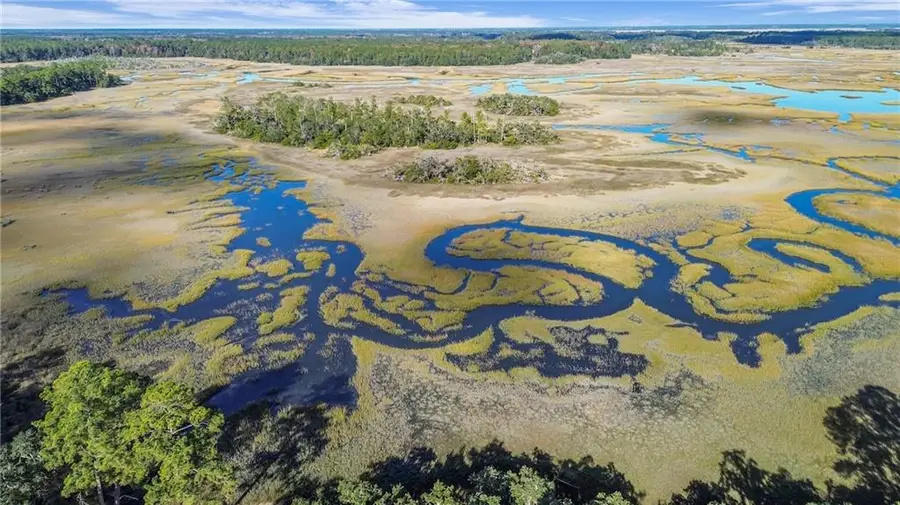 1261 Otter Slide Loop Ne, Townsend, GA 31331 - Image #2