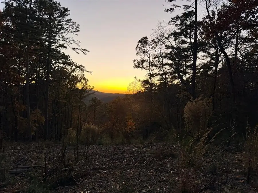 0 Canoe Way, Talking Rock, GA 30175 - Image #3