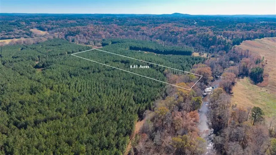 LOT 1 Steadman Lane, Tallapoosa, GA 30176 - Image #2