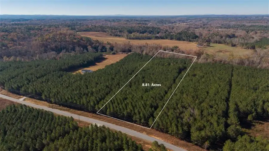 LOT 1 Steadman Lane, Tallapoosa, GA 30176 - Image #3