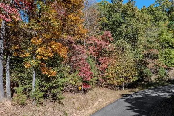 Lot 22 Meadow Brook Trail, Morganton, GA 30560
