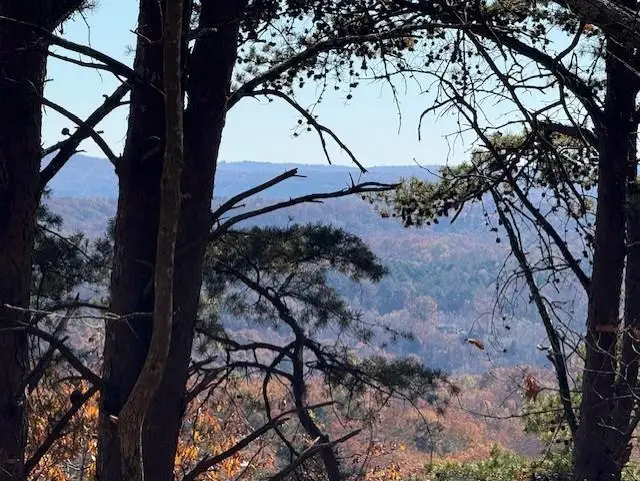 0 John Call Rd, Talking Rock, GA 30175 - #1