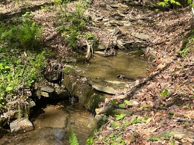 003 Swan Bridge Road, Talking Rock, GA 30175 - Image #2